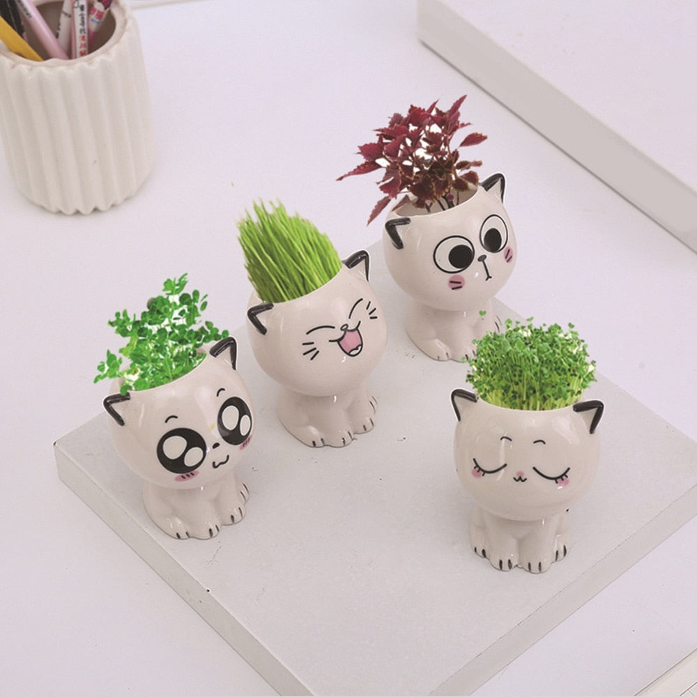 cute mini plant pots Ceramic Mini Cat Pots – Plants n' Crafts